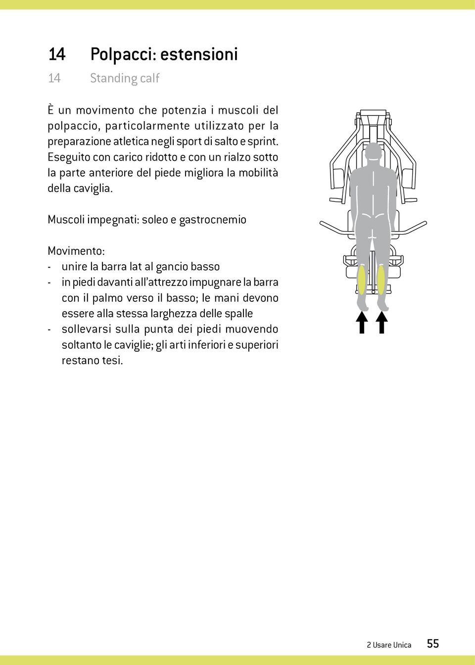 Muscoli impegnati: soleo e gastrocnemio Movimento: - unire la barra lat al gancio basso - in piedi davanti all attrezzo impugnare la barra con il palmo verso il