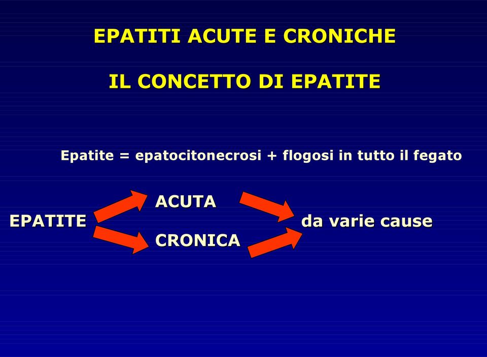 epatocitonecrosi + flogosi in