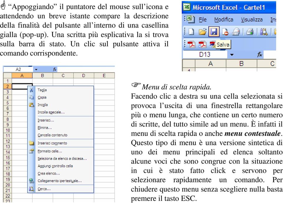 Facendo clic a destra su una cella selezionata si provoca l uscita di una finestrella rettangolare più o menu lunga, che contiene un certo numero di scritte, del tutto simile ad un menu.