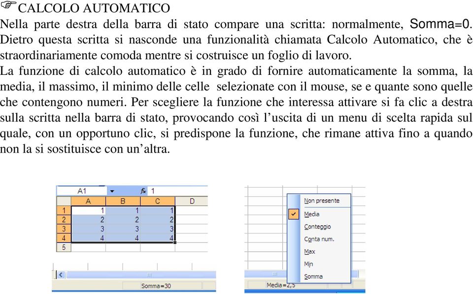 La funzione di calcolo automatico è in grado di fornire automaticamente la somma, la media, il massimo, il minimo delle celle selezionate con il mouse, se e quante sono quelle che