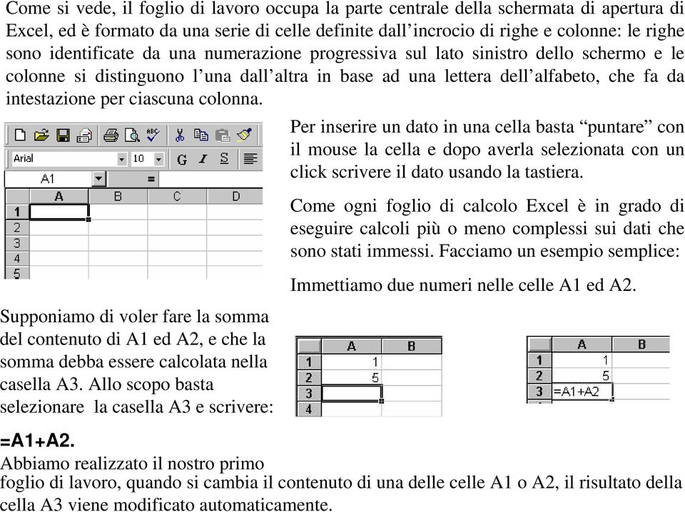 colonna. Per inserire un dato in una cella basta puntare con il mouse la cella e dopo averla selezionata con un click scrivere il dato usando la tastiera.