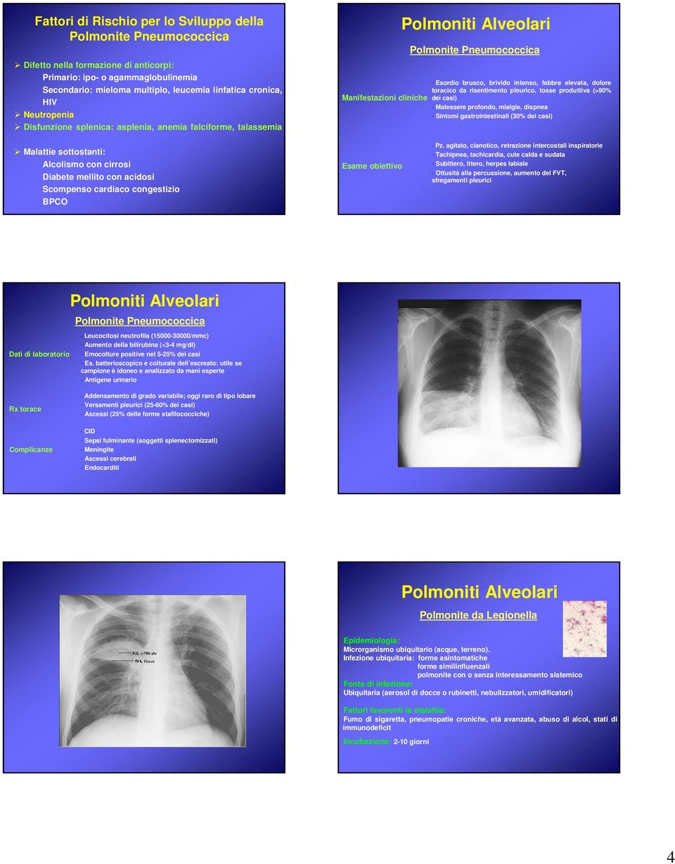 tosse produttiva (>90% Manifestazioni cliniche dei casi) - Malessere profondo, mialgie, dispnea - Sintomi gastrointestinali (30% dei casi) Malattie sottostanti: Alcolismo con cirrosi Diabete mellito