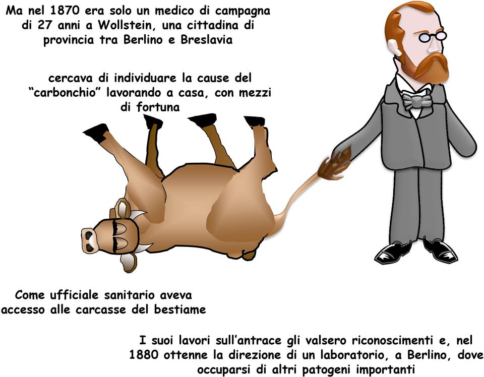 ufficiale sanitario aveva accesso alle carcasse del bestiame I suoi lavori sull antrace gli valsero