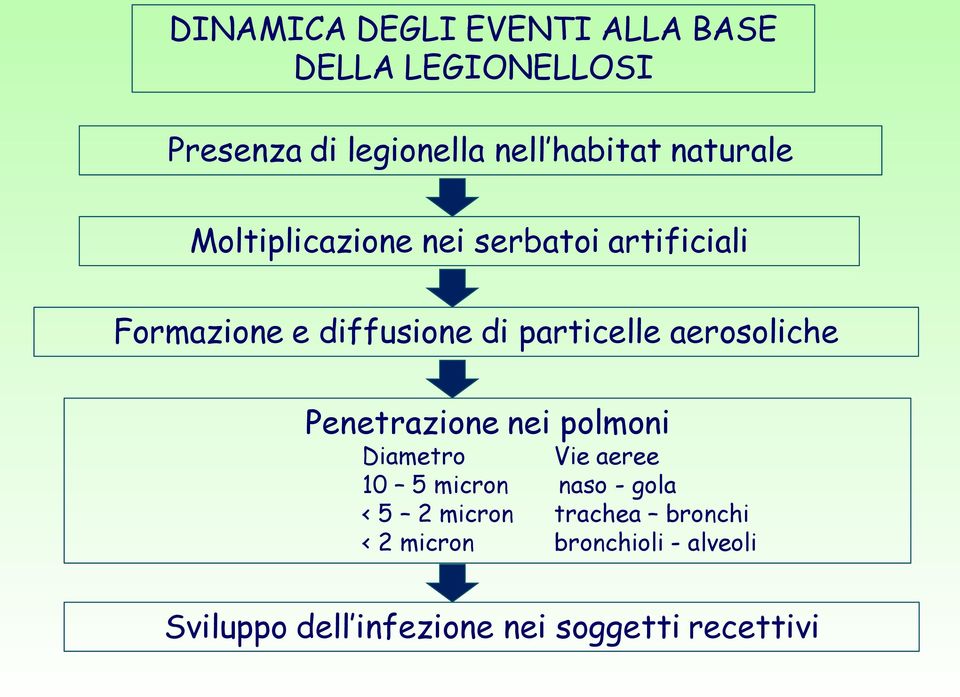 aerosoliche Penetrazione nei polmoni Diametro Vie aeree 10 5 micron naso - gola < 5 2