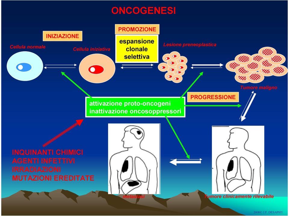 proto-oncogeni inattivazione oncosoppressori PROGRESSIONE INQUINANTI CHIMICI