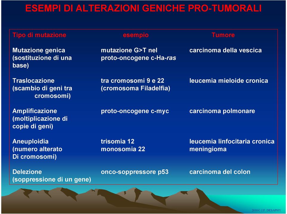 cromosomi) Amplificazione proto-oncogene c-myc carcinoma polmonare (moltiplicazione di copie di geni) Aneuploidia trisomia 12 leucemia linfocitaria