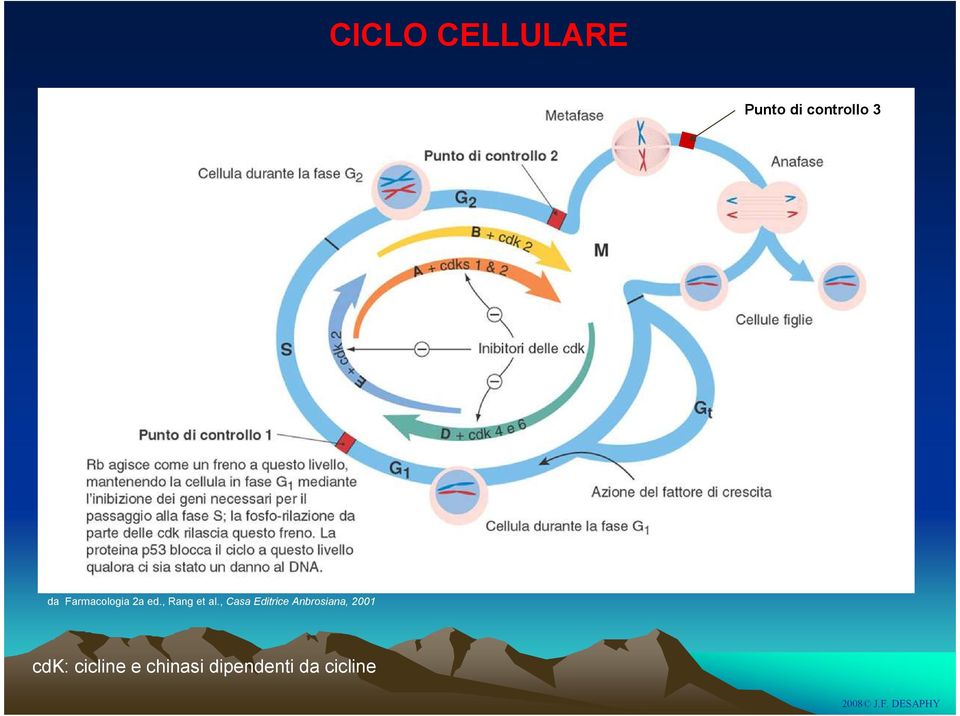 Farmacologia 2a ed., Rang et al.