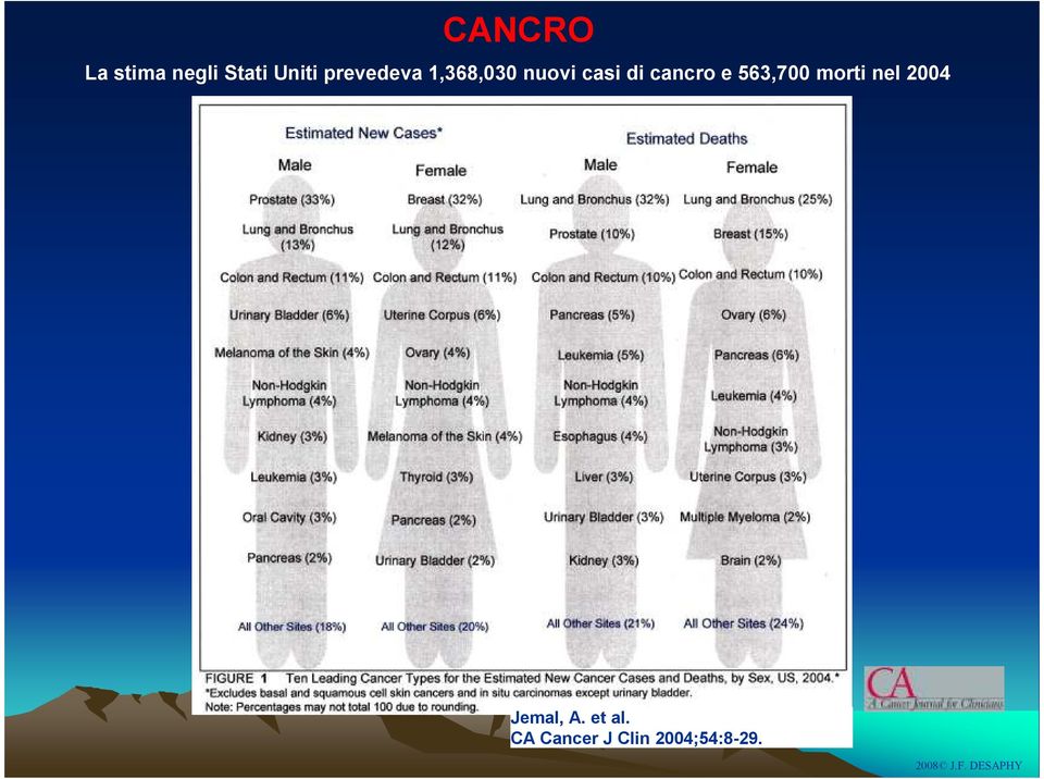 cancro e 563,700 morti nel 2004