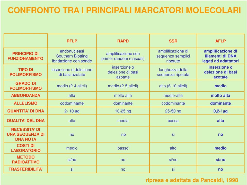 lunghezza della sequenza ripetuta inserzione o delezione di basi azotate GRADO DI POLIMORFISMO medio (2-4 alleli) medio (2-5 alleli) alto (6-10 alleli) medio ABBONDANZA alta molto alta medio-alta