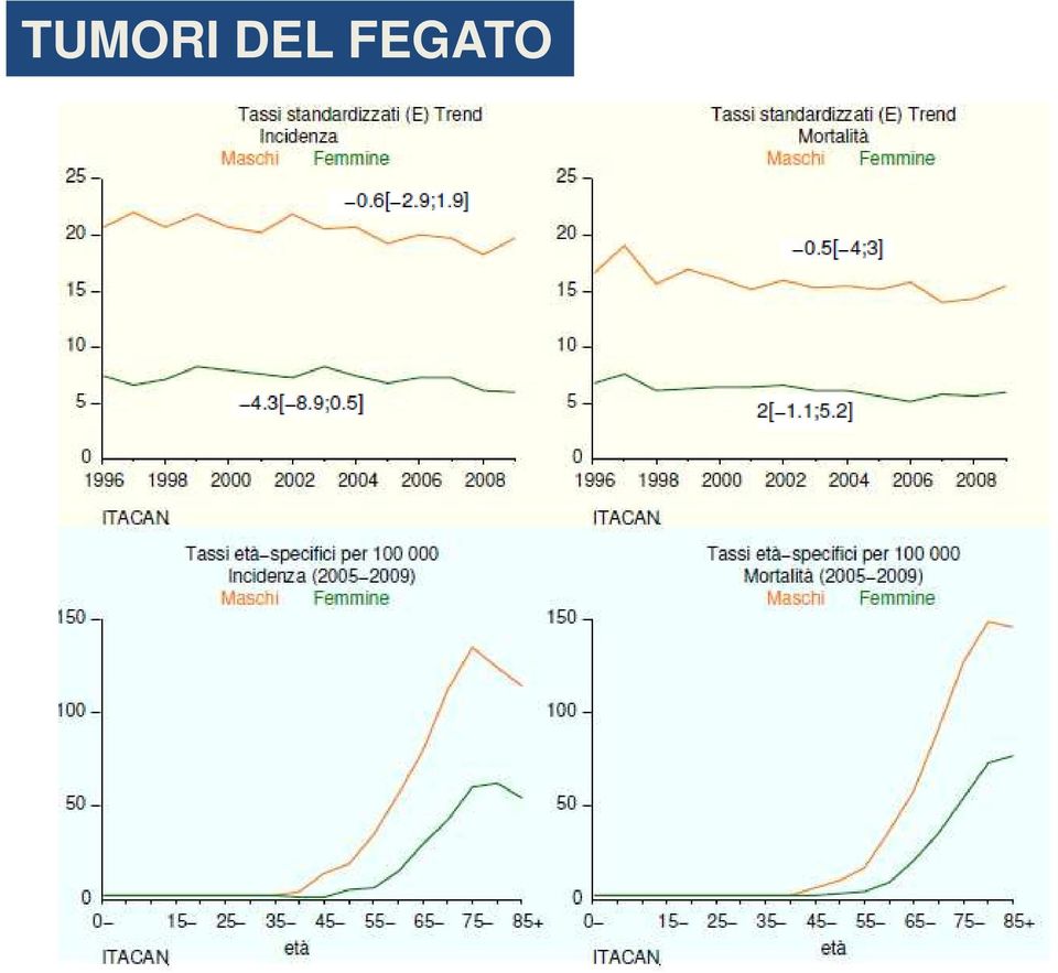 FEGATO