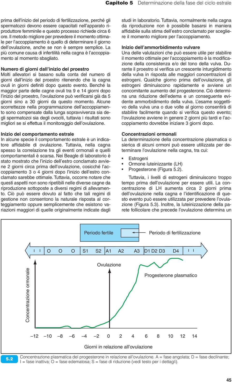 La più comune causa di infertilità nella cagna è l accoppiamento al momento sbagliato.