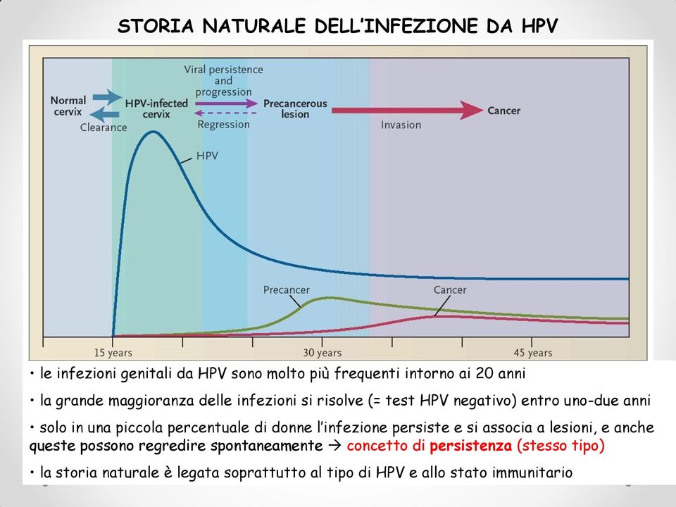 percentuale di donne l infezione persiste e si associa a lesioni, e anche queste possono regredire