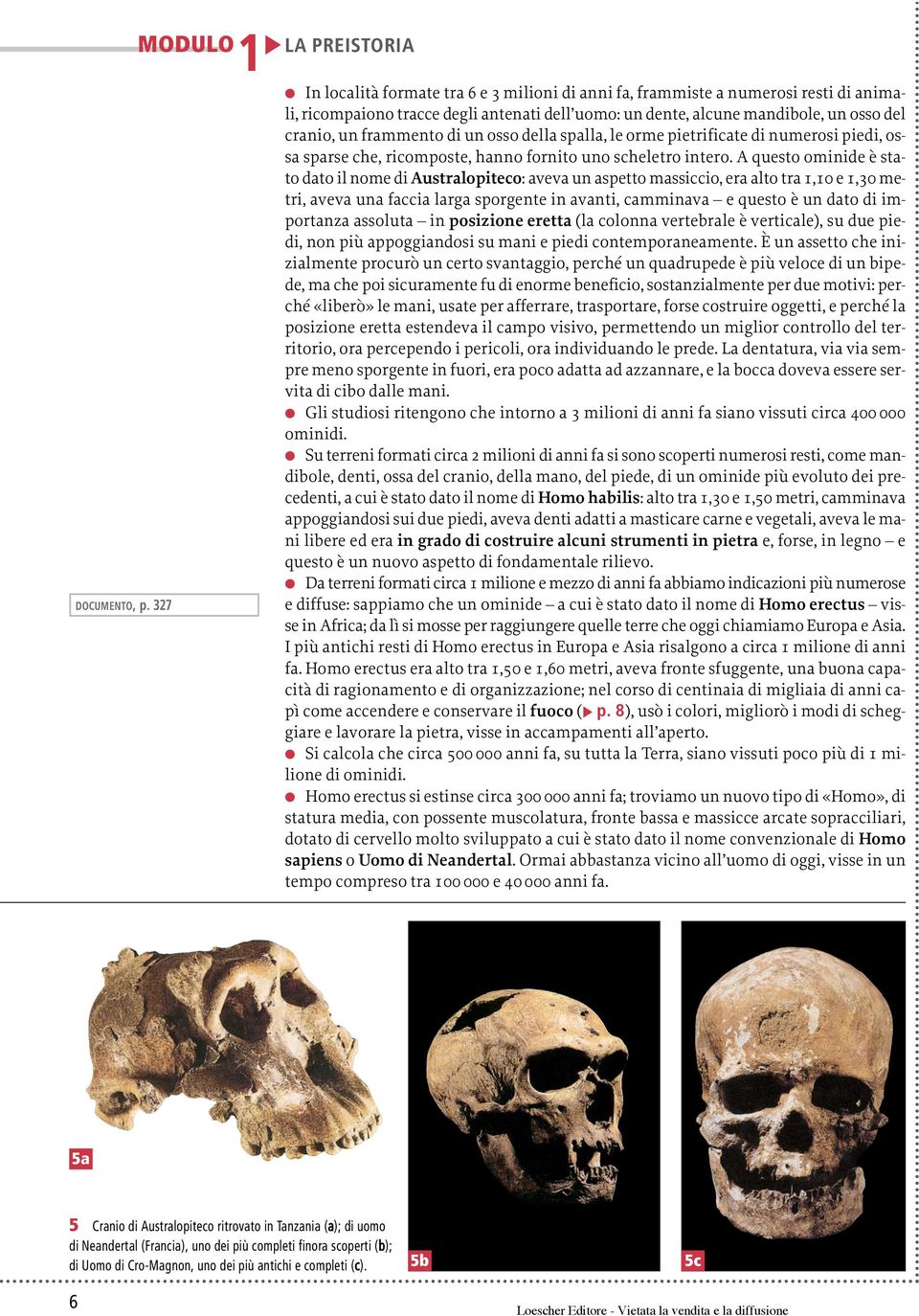 del cranio, un frammento di un osso della spalla, le orme pietrificate di numerosi piedi, ossa sparse che, ricomposte, hanno fornito uno scheletro intero.