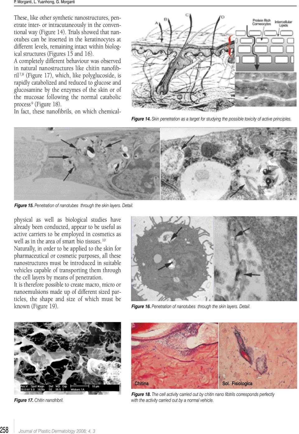 Trials showed that nanotubes can be inserted in the keratinocytes at different levels, remaining intact within biological structures (Figures 15 and 16).