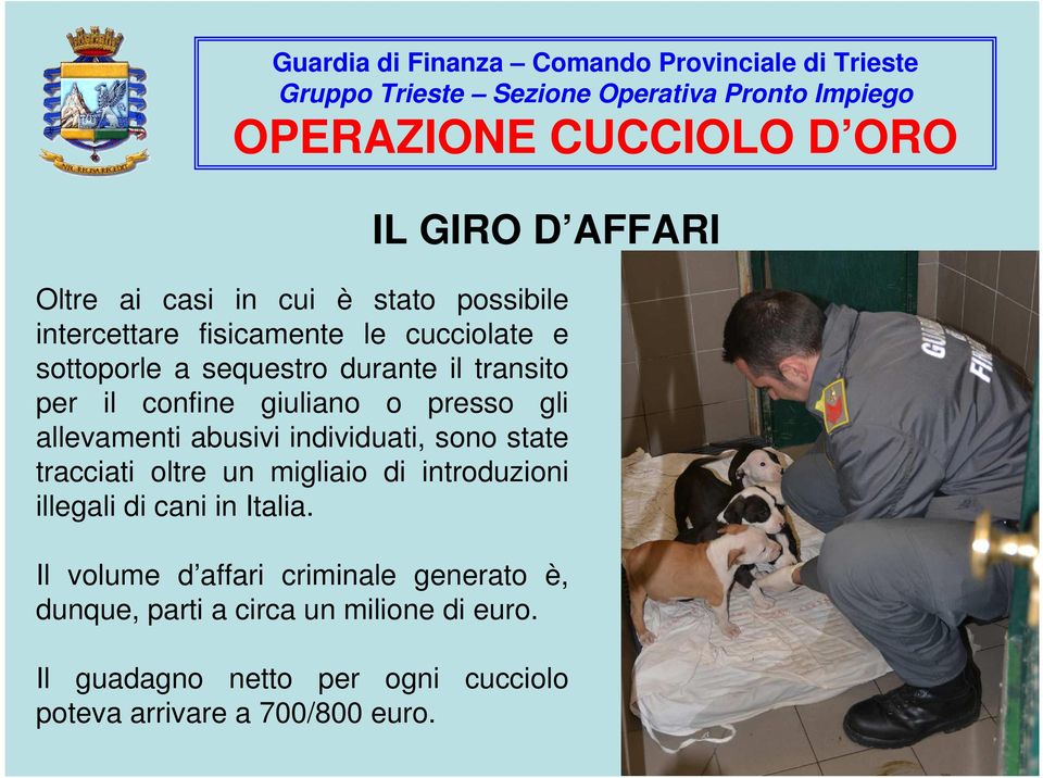 tracciati oltre un migliaio di introduzioni illegali di cani in Italia.