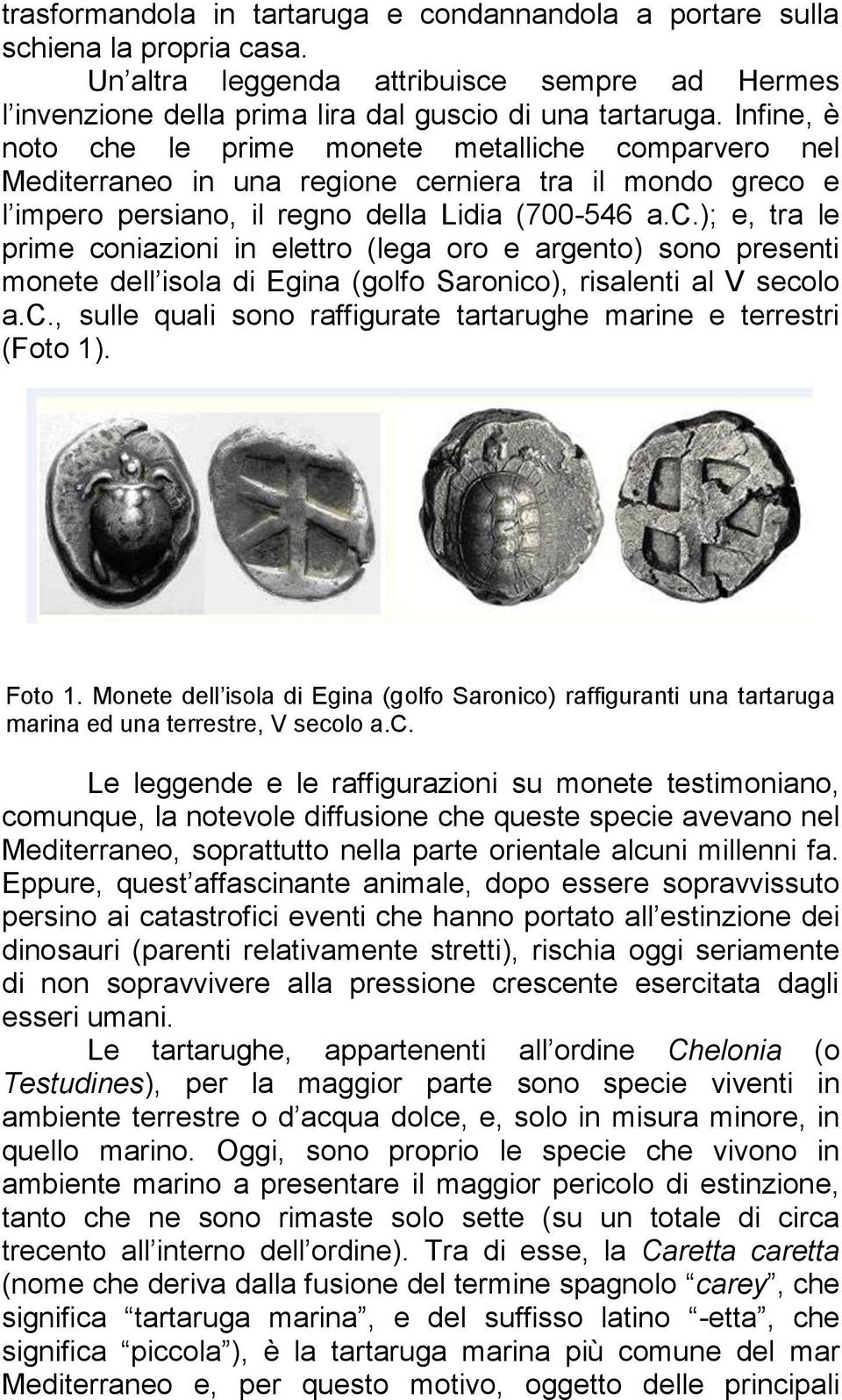 c., sulle quali sono raffigurate tartarughe marine e terrestri (Foto 1). Foto 1. Monete dell isola di Egina (golfo Saronico) raffiguranti una tartaruga marina ed una terrestre, V secolo a.c. Le leggende e le raffigurazioni su monete testimoniano, comunque, la notevole diffusione che queste specie avevano nel Mediterraneo, soprattutto nella parte orientale alcuni millenni fa.