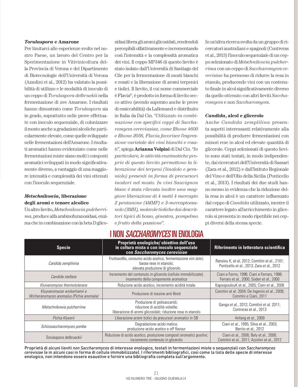 , 2012) ha valutato la possibilità di utilizzo e le modalità di inoculo di un ceppo di Torulaspora delbruekii nella fermentazione di uve Amarone.