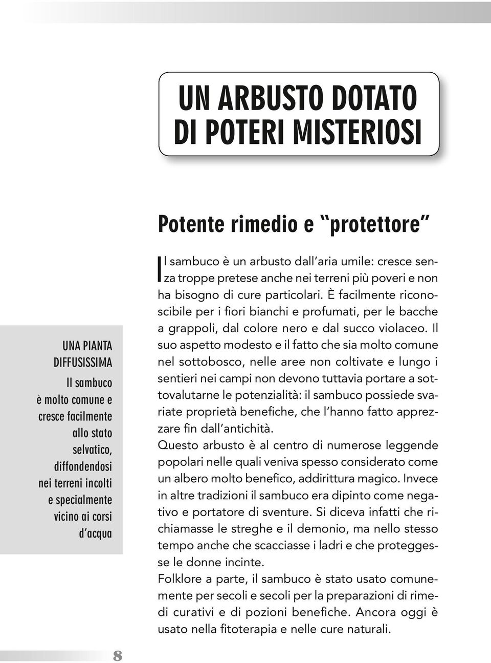 È facilmente riconoscibile per i fiori bianchi e profumati, per le bacche a grappoli, dal colore nero e dal succo violaceo.