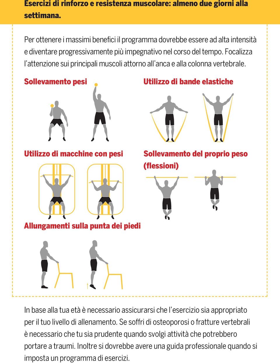 Focalizza l attenzione sui principali muscoli attorno all anca e alla colonna vertebrale.