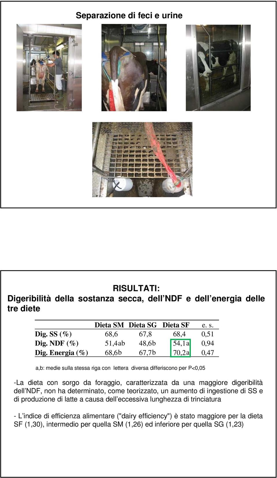 Energia (%) 68,6b 67,7b 70,2a 0,47 a,b: medie sulla stessa riga con lettera diversa differiscono per P<0,05 -La dieta con sorgo da foraggio, caratterizzata da una maggiore