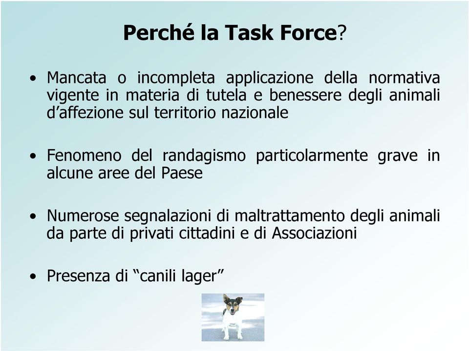 degli animali d affezione sul territorio nazionale Fenomeno del randagismo particolarmente