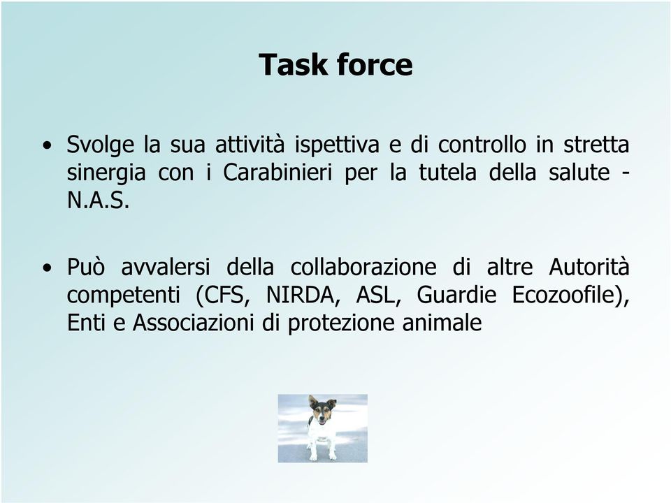 Può avvalersi della collaborazione di altre Autorità Può avvalersi della