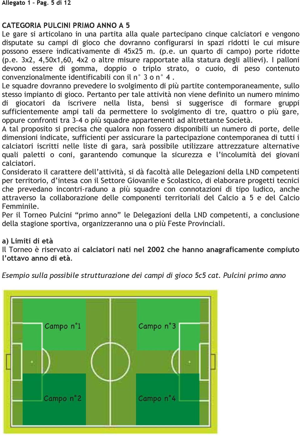 le cui misure possono essere indicativamente di 45x25 m. (p.e. un quarto di campo) porte ridotte (p.e. 3x2, 4,50x1,60, 4x2 o altre misure rapportate alla statura degli allievi).