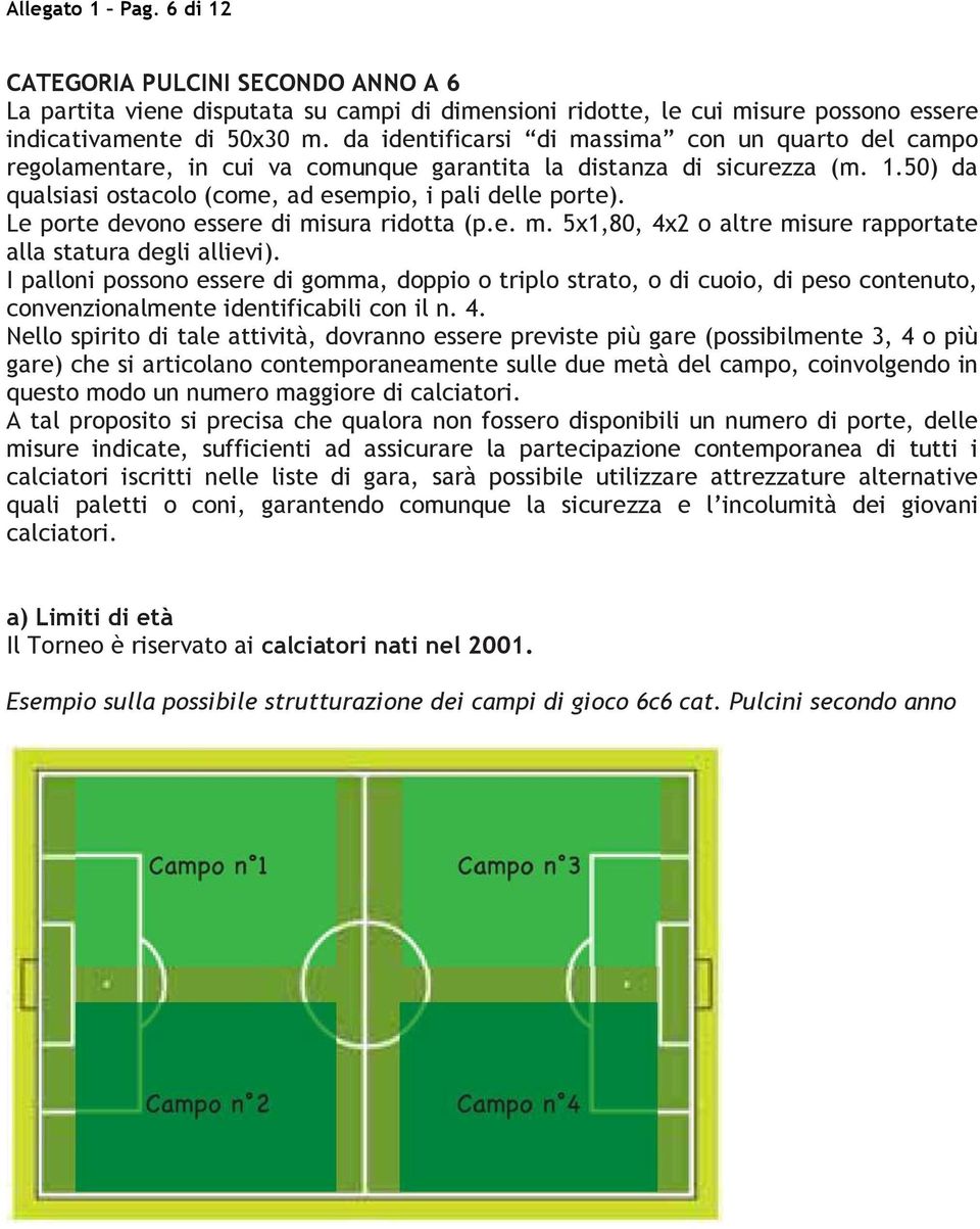 Le porte devono essere di misura ridotta (p.e. m. 5x1,80, 4x2 o altre misure rapportate alla statura degli allievi).