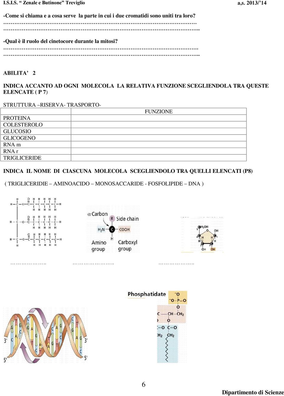 ... ABILITA 2 INDICA ACCANTO AD OGNI MOLECOLA LA RELATIVA FUNZIONE SCEGLIENDOLA TRA QUESTE ELENCATE ( P 7) STRUTTURA