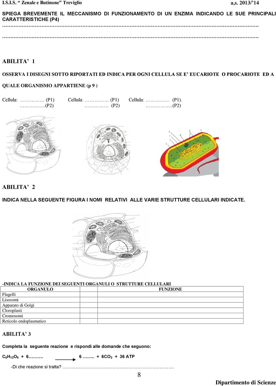 (P1)..(P2) (P2)..(P2) ABILITA 2 INDICA NELLA SEGUENTE FIGURA I NOMI RELATIVI ALLE VARIE STRUTTURE CELLULARI INDICATE.