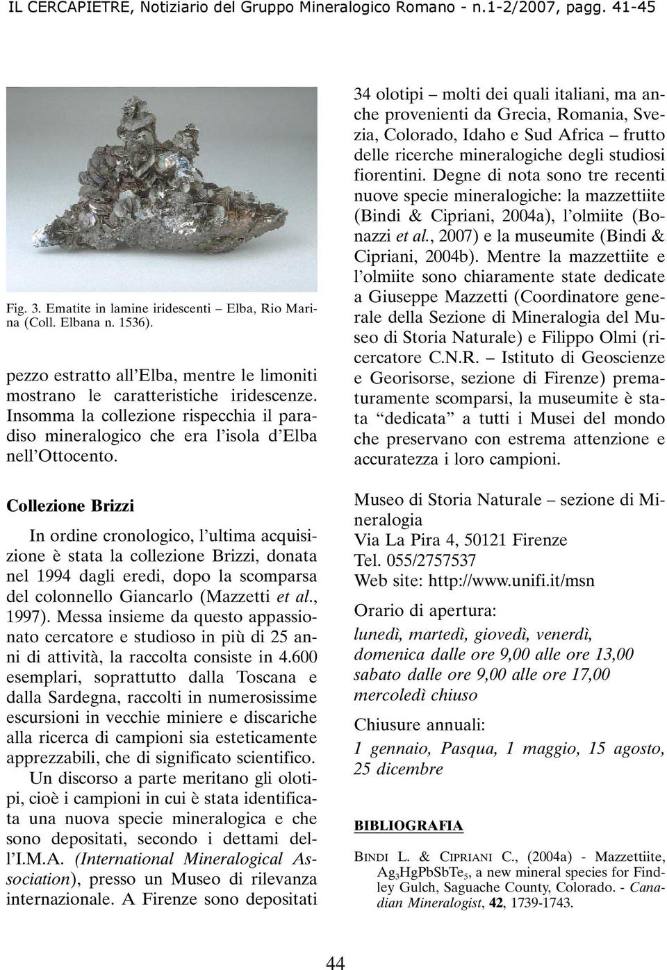 Collezione Brizzi In ordine cronologico, l ultima acquisizione è stata la collezione Brizzi, donata nel 1994 dagli eredi, dopo la scomparsa del colonnello Giancarlo (Mazzetti et al., 1997).