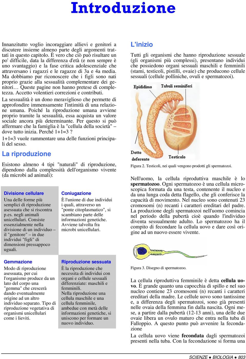 Ma dobbiamo pur riconoscere che i figli sono nati proprio grazie alla sessualità complementare dei genitori Queste pagine non hanno pretese di completezza. Accetto volentieri correzioni e contributi.