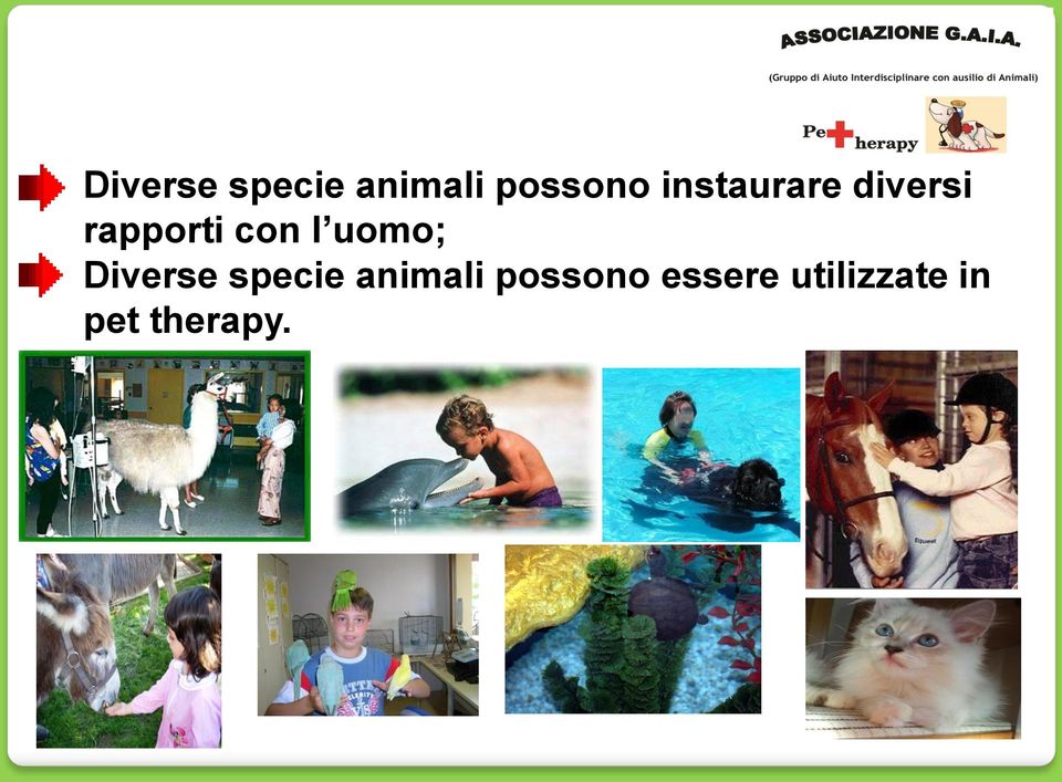 uomo;  essere utilizzate in pet