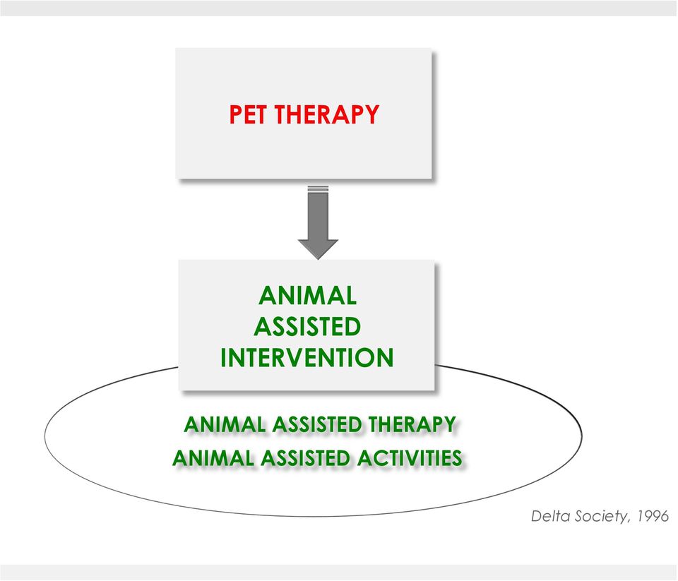 ASSISTED THERAPY ANIMAL