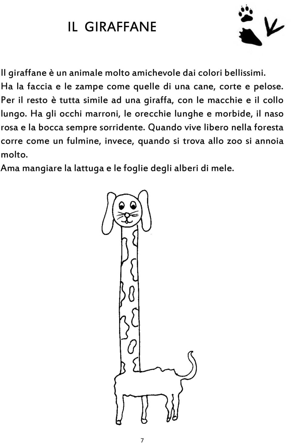 Per il resto è tutta simile ad una giraffa, con le macchie e il collo lungo.