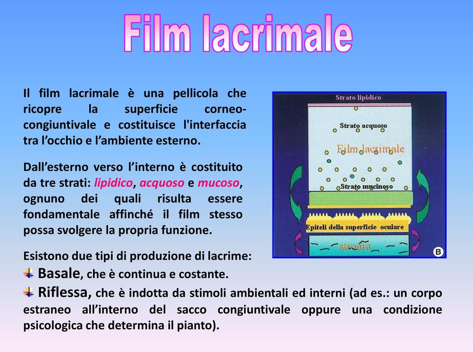 stesso possa svolgere la propria funzione. Esistono due tipi di produzione di lacrime: Basale, che è continua e costante.