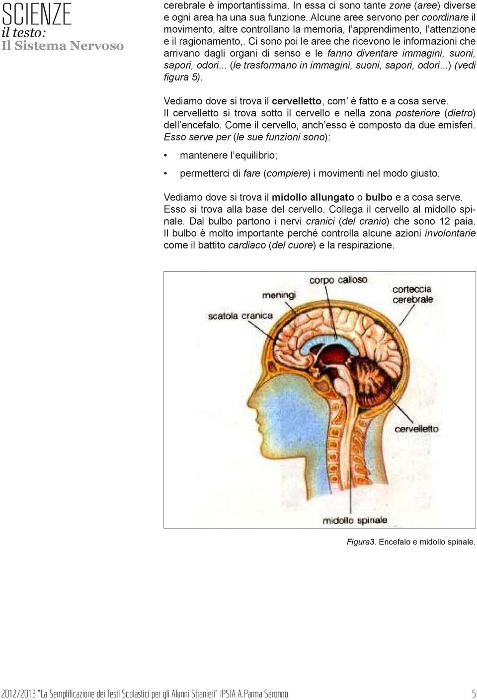 Ci sono poi le aree che ricevono le informazioni che arrivano dagli organi di senso e le fanno diventare immagini, suoni, sapori, odori... (le trasformano in immagini, suoni, sapori, odori.