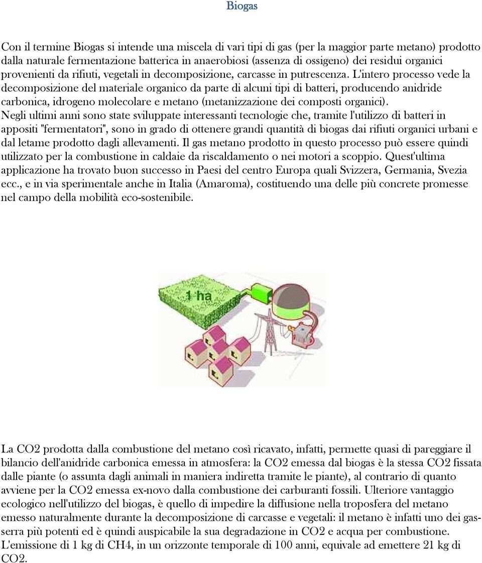 L'intero processo vede la decomposizione del materiale organico da parte di alcuni tipi di batteri, producendo anidride carbonica, idrogeno molecolare e metano (metanizzazione dei composti organici).