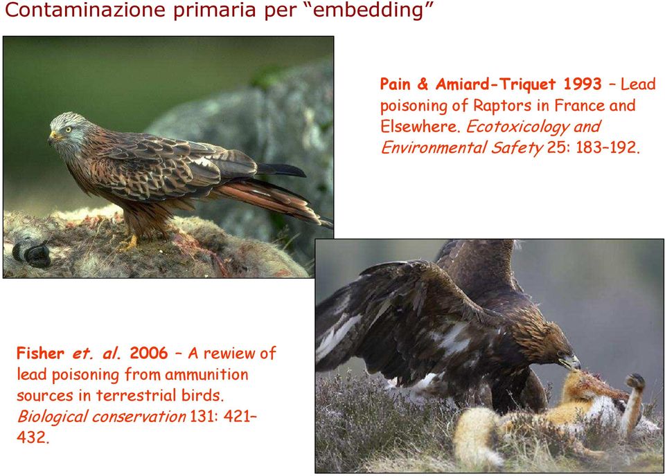 Ecotoxicology and Environmental Safety 25: 183 192. Fisher et. al.