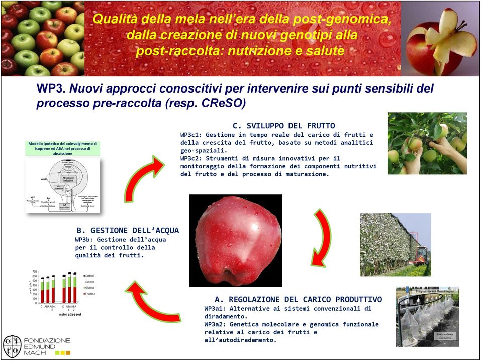 nutrizione e salute WP3.