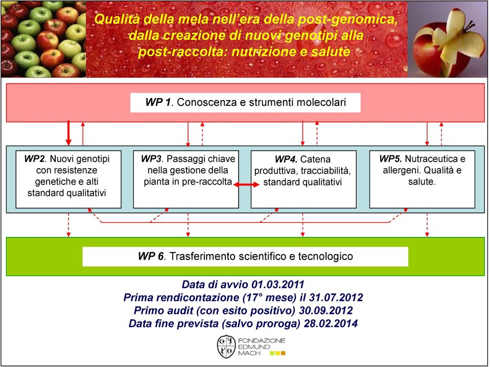 Nutraceutica e nella gestione della produttiva, tracciabilità, allergeni. Qualità e pianta in pre-raccolta standard qualitativi salute. WP 6.