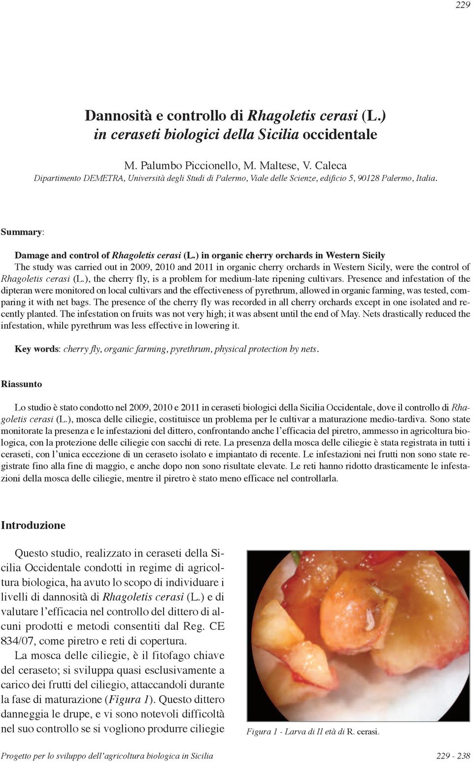 ) in organic cherry orchards in Western Sicily The study was carried out in 9, and 11 in organic cherry orchards in Western Sicily, were the control of Rhagoletis cerasi (L.