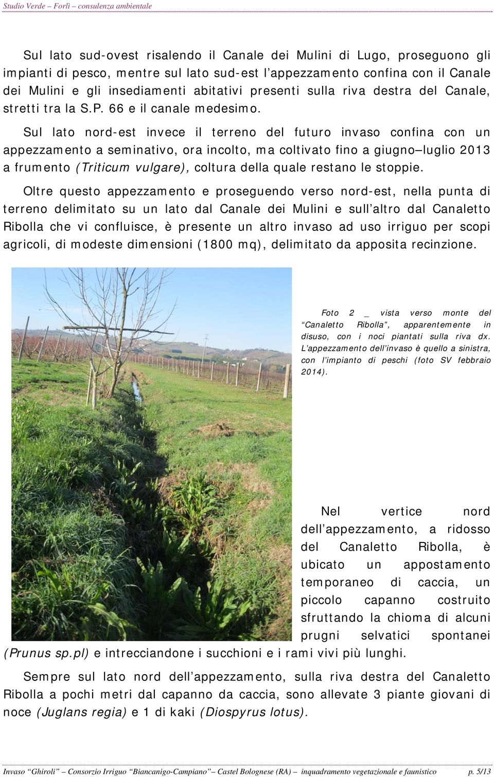 Sul lato nord-est invece il terreno del futuro invaso confina con un appezzamento a seminativo, ora incolto, ma coltivato fino a giugno luglio 2013 a frumento (Triticum vulgare), coltura della quale