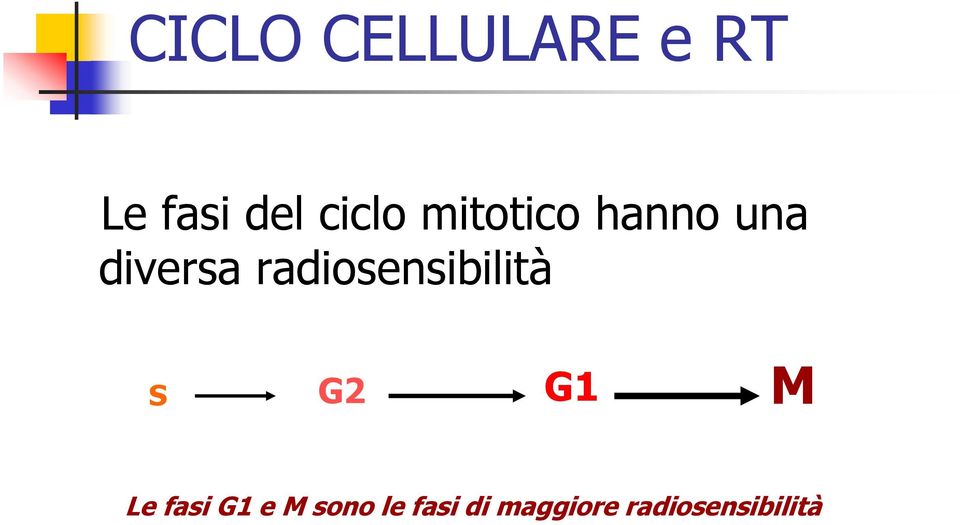 radiosensibilità S G2 G1 M Le fasi G1
