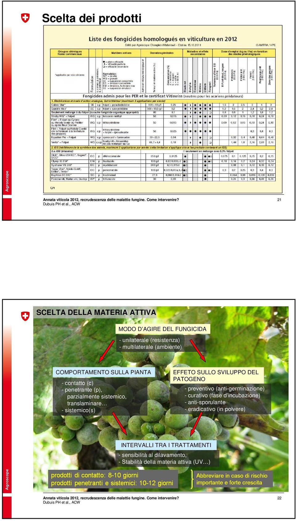 sistemico(s) EFFETO SULLO SVILUPPO DEL PATOGENO - preventivo (anti-germinazione) - curativo (fase d incubazione) -