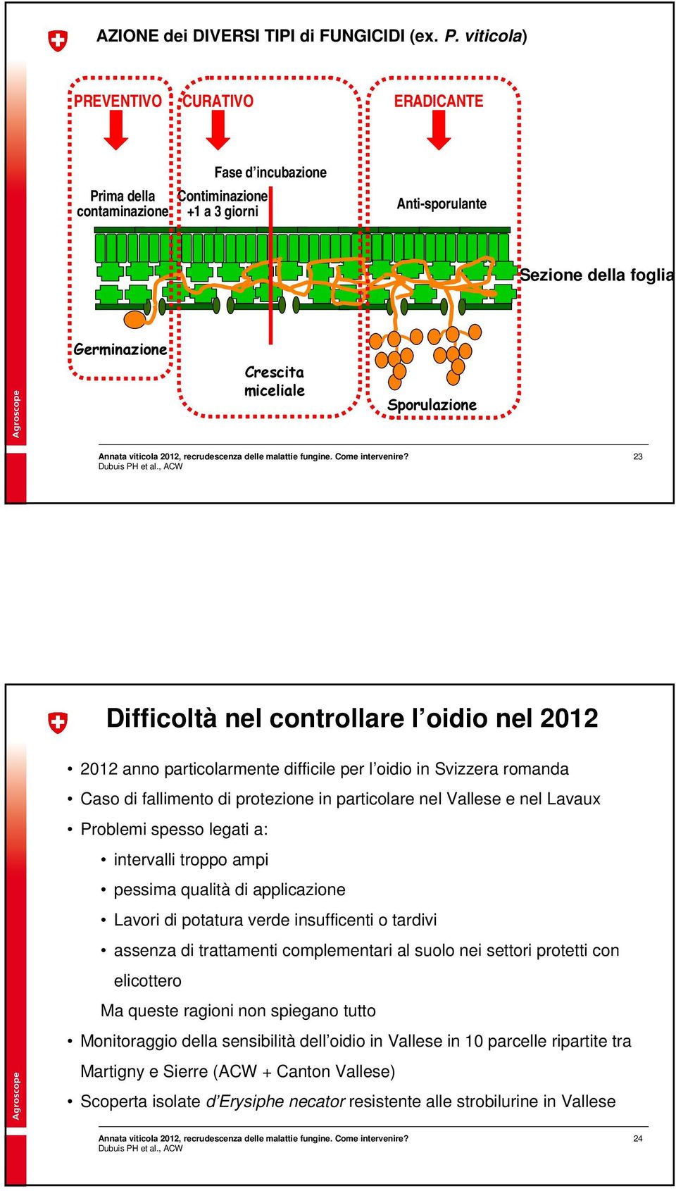 23 Difficoltà nel controllare l oidio nel 2012 2012 anno particolarmente difficile per l oidio in Svizzera romanda Caso di fallimento di protezione in particolare nel Vallese e nel Lavaux Problemi