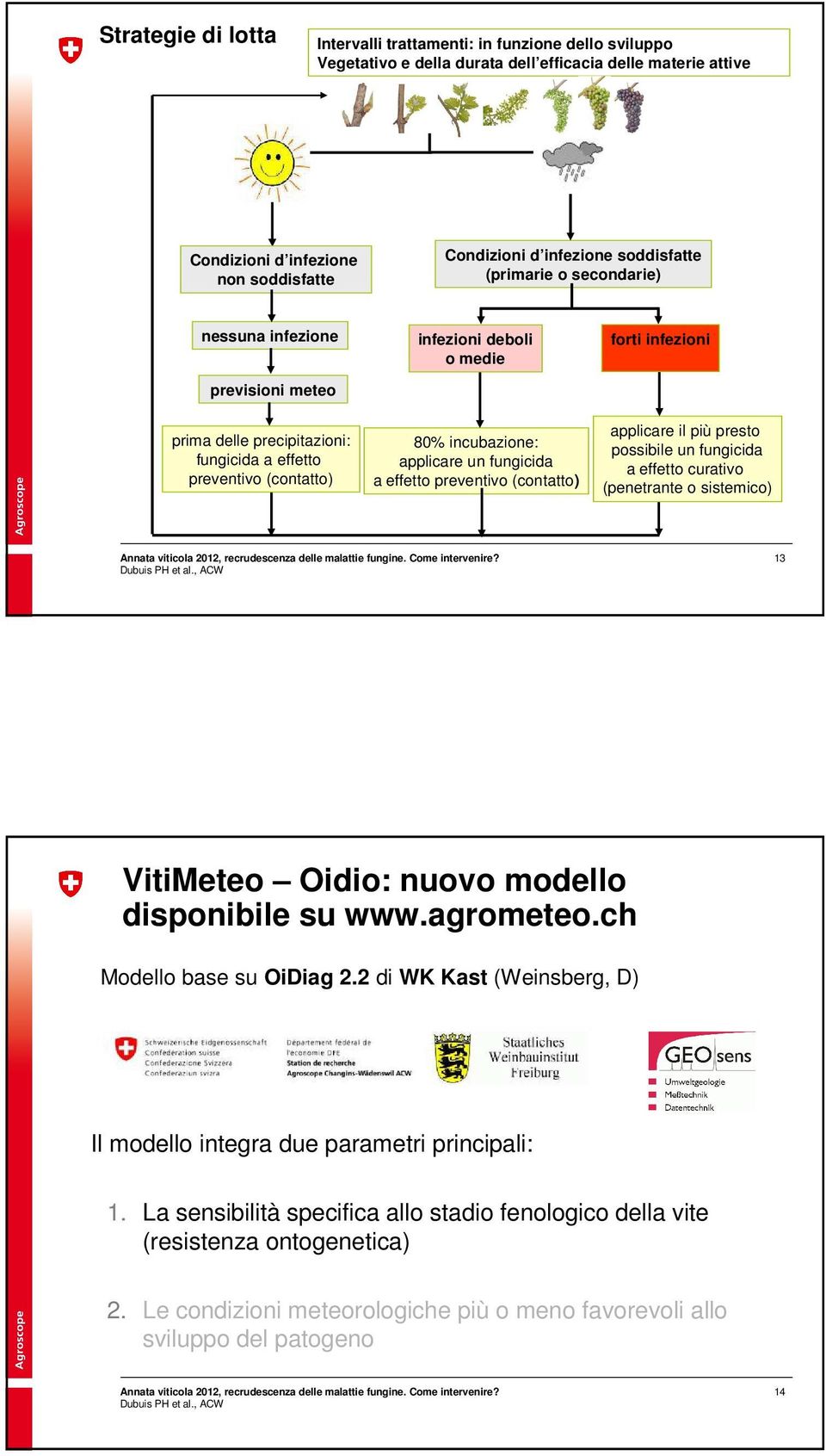 fungicida a effetto preventivo (contatto) forti infezioni applicare il più presto possibile un fungicida a effetto curativo (penetrante o sistemico) 13 VitiMeteo Oidio: nuovo modello disponibile su