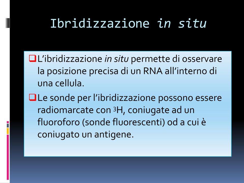 Le sonde per l ibridizzazione possono essere radiomarcate con 3 H,