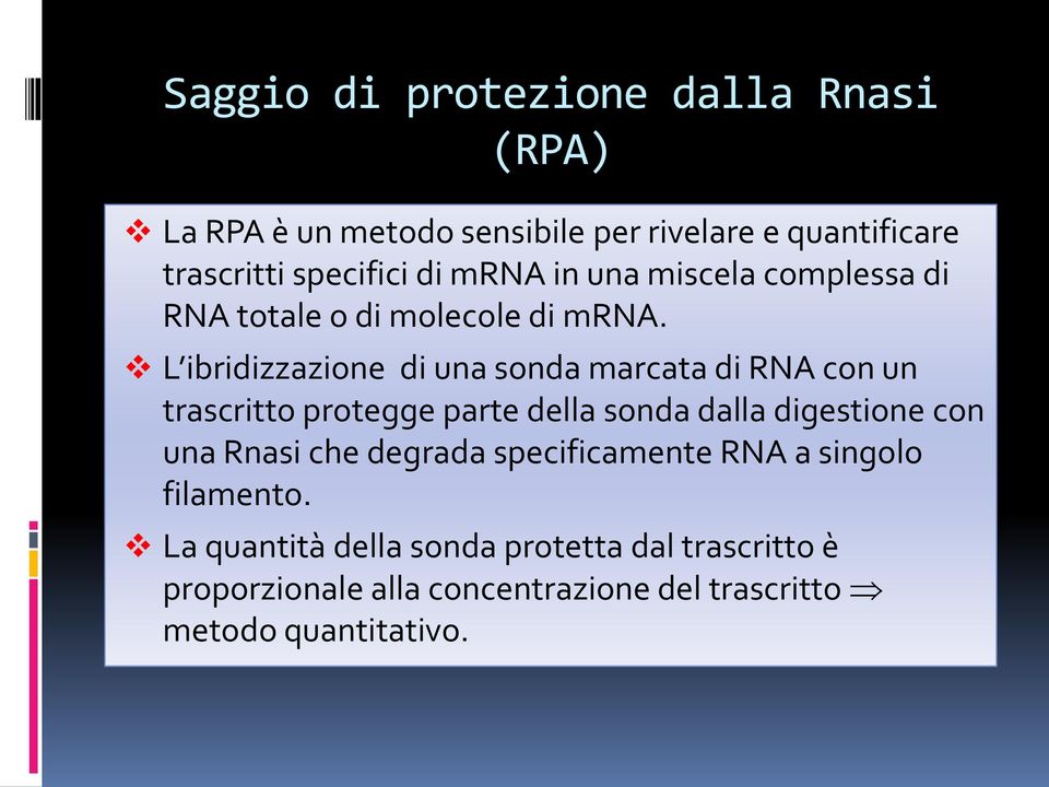 L ibridizzazione di una sonda marcata di RNA con un trascritto protegge parte della sonda dalla digestione con una