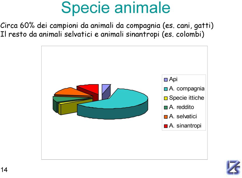 cani, gatti) Il resto da animali selvatici e animali